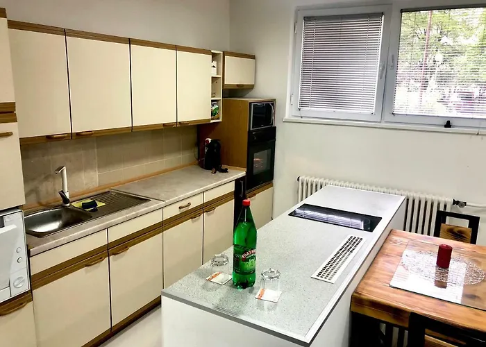 On A River Avenue Διαμέρισμα Pančevo